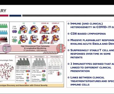 "Immune Profiling of Hospitalized COVID-19 Patients" by Dr. John Wherry