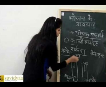 Components of Food - Carbohydrate,Proteins and Fats[Hindi]