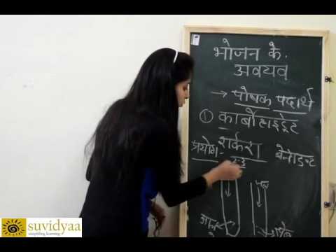 Components of Food - Carbohydrate,Proteins and Fats[Hindi]