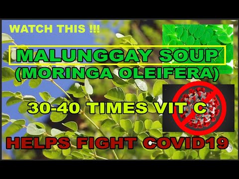 Malunggay soup (Moringa oleifera) helps boost immune system to fight covid19