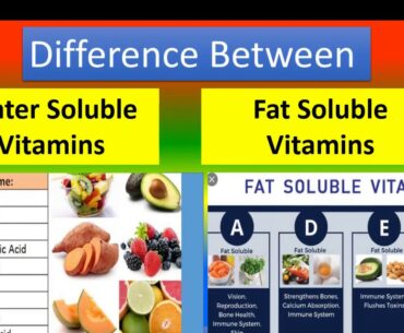 Difference Between water soluble and Fat soluble Vitamins