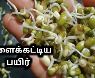 How to gain immunity || and preparation of sprouts