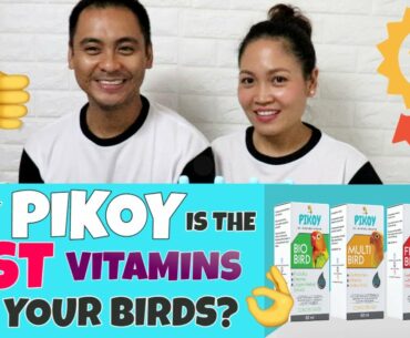 PIKOY VITAMINS - The Best Vitamins For Your Birds By Munting Ibunan - Our 1st Video Appearance!