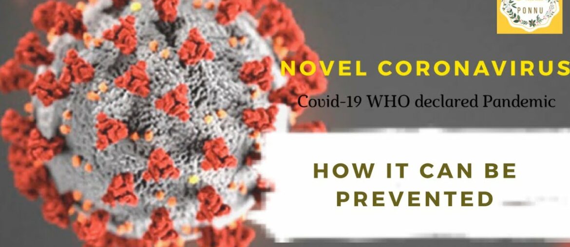 Novel Coronavirus | COVID-19 | How To Prevent | WHO declared Pandemic | How To Contain it