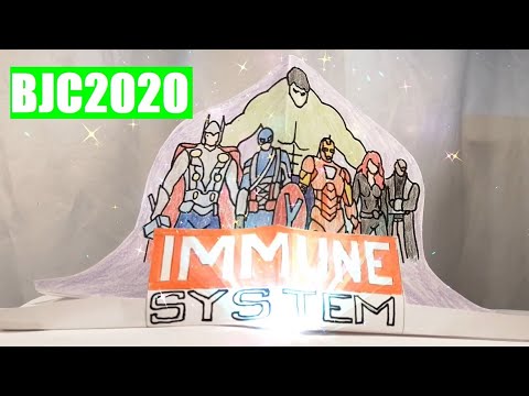 Breakthrough Junior Challenge 2020 | COVID-19: ANTIBODIES & How Our Bodies Fight Back