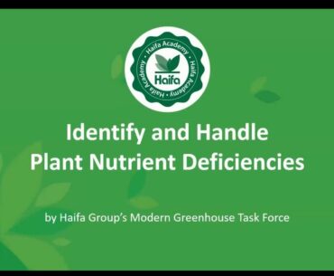 Webinar: How to identify and handle plant nutrient deficiencies  - Part 1