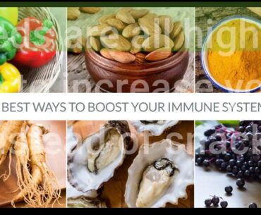 Excitement About Vitamin effects on the immune system: vitamins A and D take