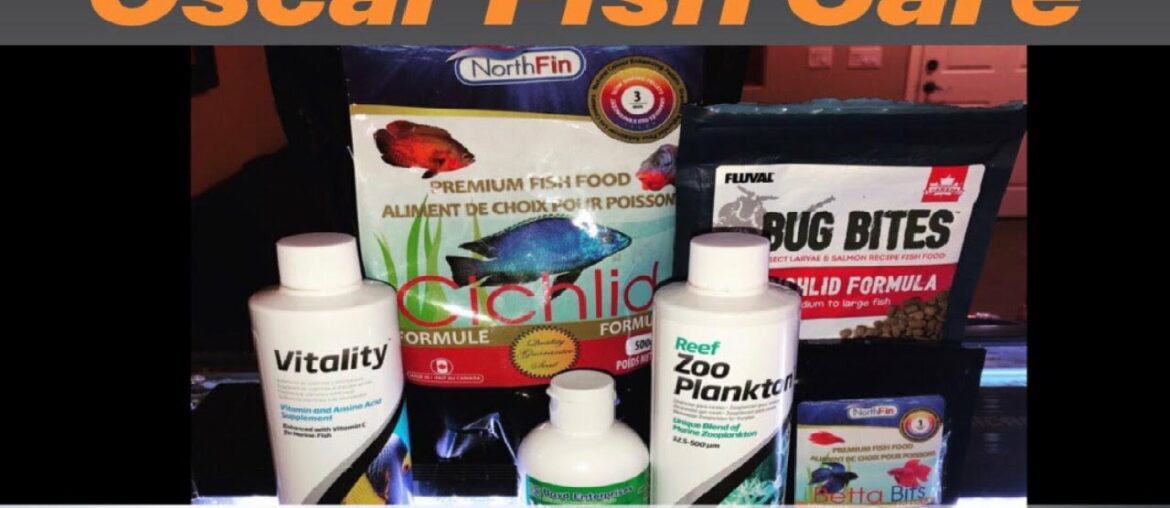Oscar Fish Care - Food, Vitamins, and Supplements