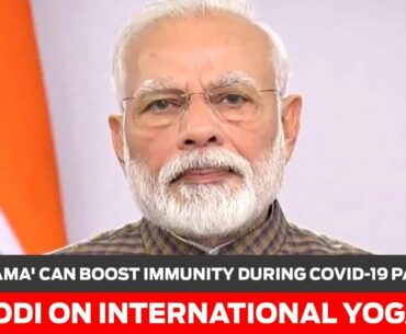 'Pranayama' can boost immunity during COVID-19 pandemic: PM Modi on International Yoga Day