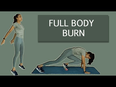 No Jumping HIIT Workout | FULL BODY BURN | Cardio Workout at Home | No Noise | Beginner Workout |