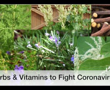 Herbs and vitamin C to help fight Coronavirus 19 (bio weapon)