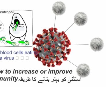 CORONA VIRUS | How to improve your immune System to Protect against Disease COVID-19 [Urdu Hindi]