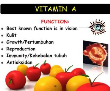 Fundamental of Nutrition - Vitamin Larut Lemak