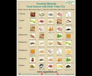 The Importance of Proper Vitamins and Minerals & Where to Get 'Em #WorldyTalk