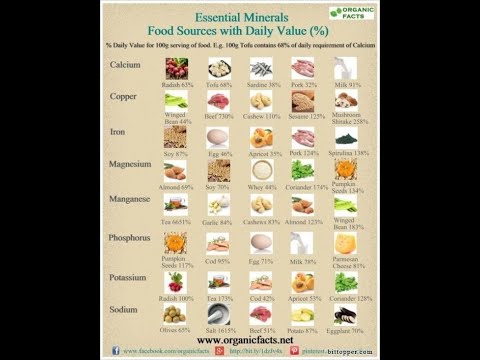 The Importance of Proper Vitamins and Minerals & Where to Get 'Em #WorldyTalk