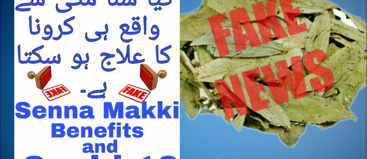 Sana Makki benefits | Is Senna Makki a cure for Covid-19 |FiveS Urdu|