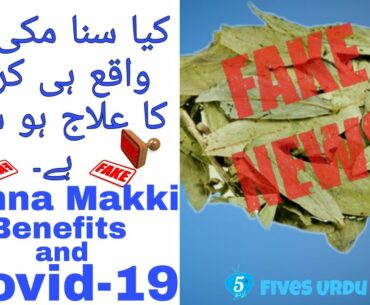 Sana Makki benefits | Is Senna Makki a cure for Covid-19 |FiveS Urdu|