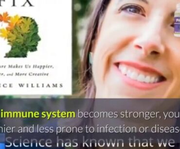 Proven Plus Review-    assists your immune system