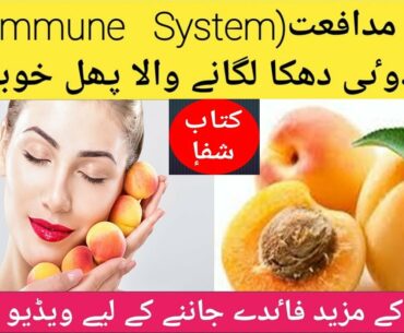 Apricot Fruit That Magically Pushes Immune System Is A Dream