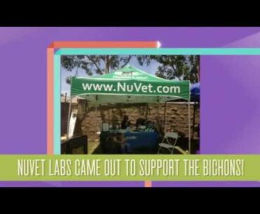 NuVet Labs Reviews | Pet Vitamin Supplements | Bichon Bash 2014