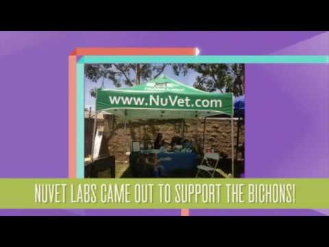 NuVet Labs Reviews | Pet Vitamin Supplements | Bichon Bash 2014