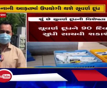 Amid coronavirus pandemic, Dudhsagar Dairy launches 'Suvarna Milk' to boost immunity | TV9News