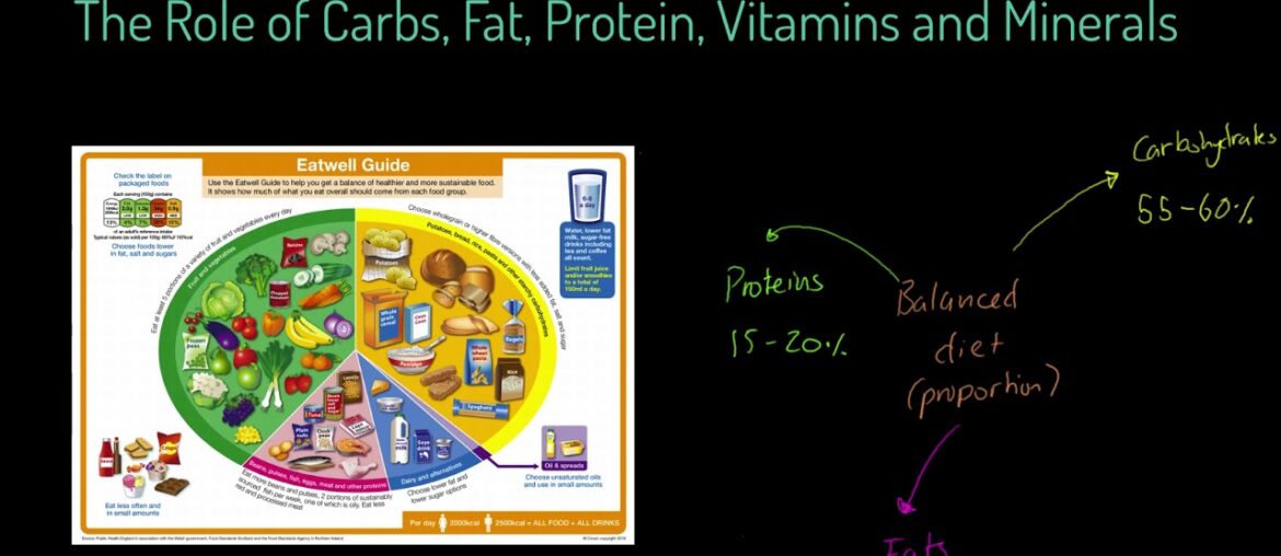 AQA GCSE PE - Role of Carbs, Fats, Protein, Vitamins and Minerals