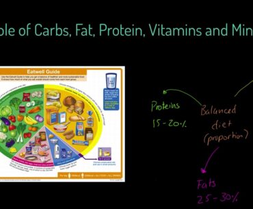 AQA GCSE PE - Role of Carbs, Fats, Protein, Vitamins and Minerals