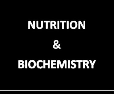 How VITAMIN D influences the immune system