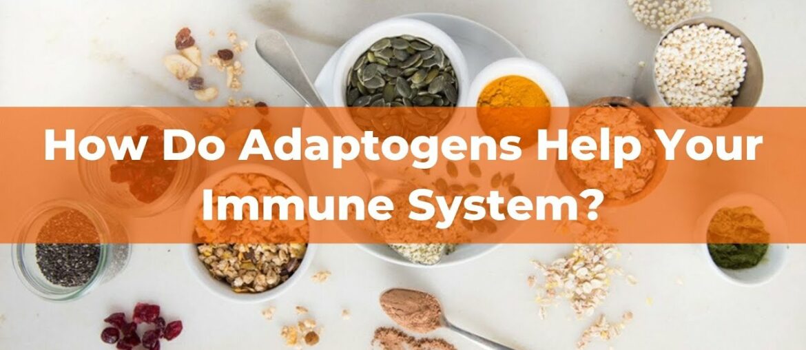 How Do Adaptogens Help Your Immune System? Featuring Patrick Valtin