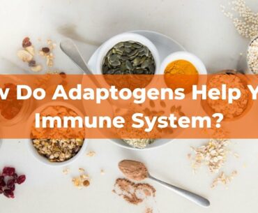 How Do Adaptogens Help Your Immune System? Featuring Patrick Valtin