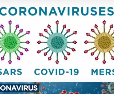 Coronavirus: What does COVID-19 do to your body and why does it spread so easily?