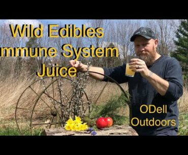 Wild Edibles Immune System Juice May Help Fight Covid 19, Coronavirus, Flu & Common Cold Symptoms