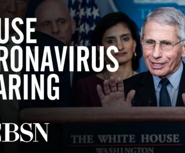 Watch live: Fauci, other health officials testify on coronavirus response at House hearing