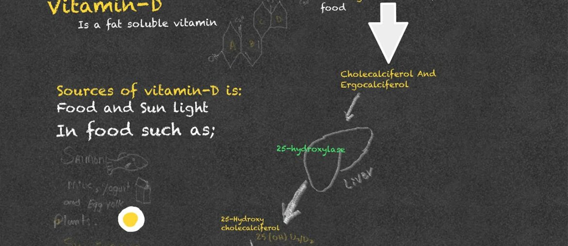 Vitamin-D | Sources| Mechanisms Of activation| function | Sign and symptoms in deficiency