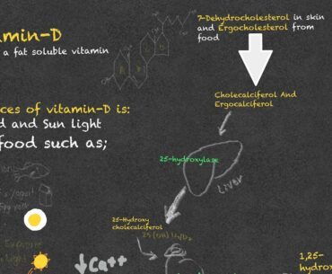 Vitamin-D | Sources| Mechanisms Of activation| function | Sign and symptoms in deficiency