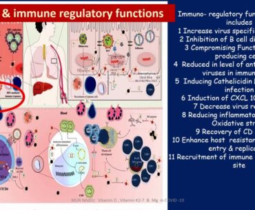 Movie Vit D Source & Immune System