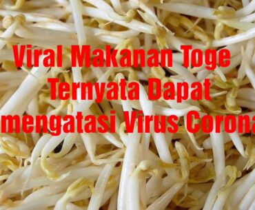 Viral Ternyata Toge Dapat Mengatasi Virus Corona (COVID19)