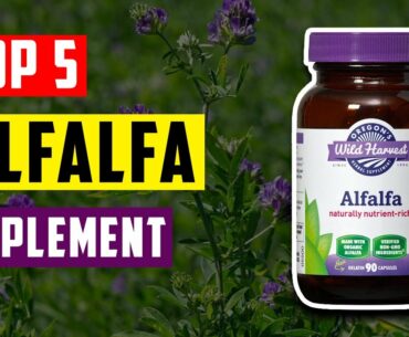 Best Alfalfa Supplement: Top 5 Best Alfalfa Supplement for Skin