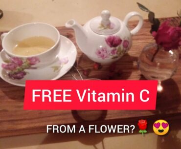 Immune Booster: Easy Rosehip Tea For Free Vitamin C, Immune Booster Tea Recipe, Helps Weight Loss