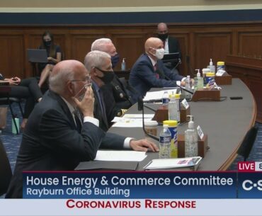 White House Coronavirus Task Force Members testify before House