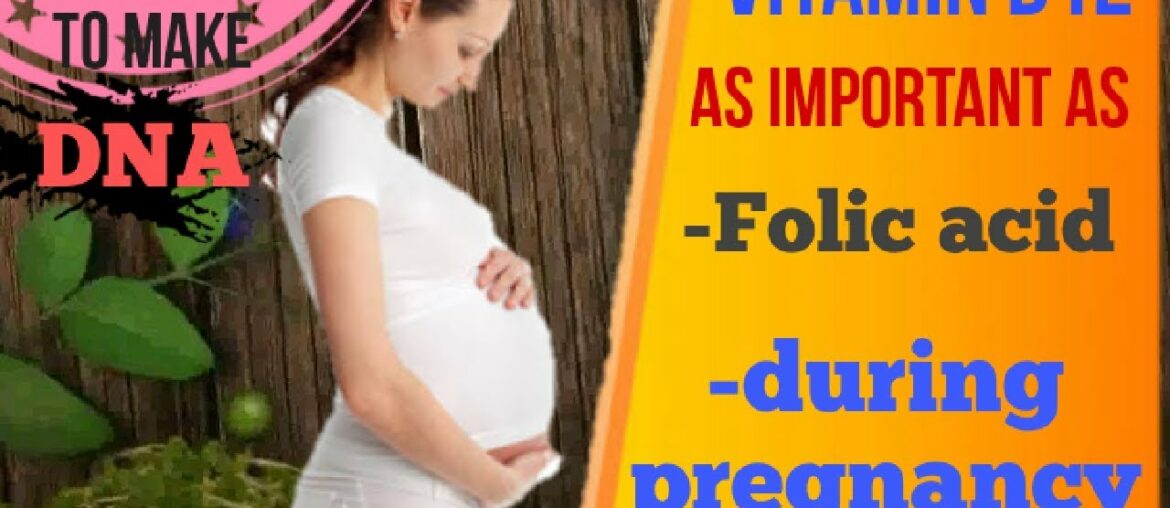 Vitamin B12 as important as folic acid during pregnancy | foods for vitamin B12| Anupa Patel |