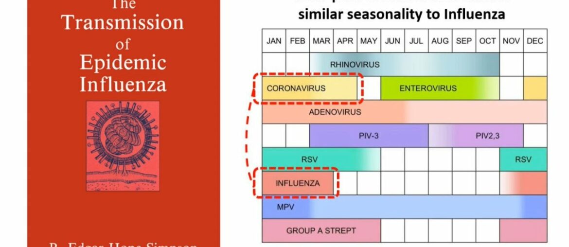 A Brief 2-minute look at Viral Seasonal Dynamics - Very Interesting!