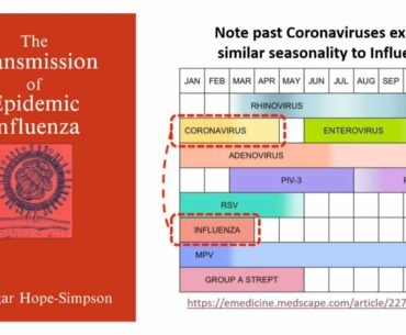 A Brief 2-minute look at Viral Seasonal Dynamics - Very Interesting!