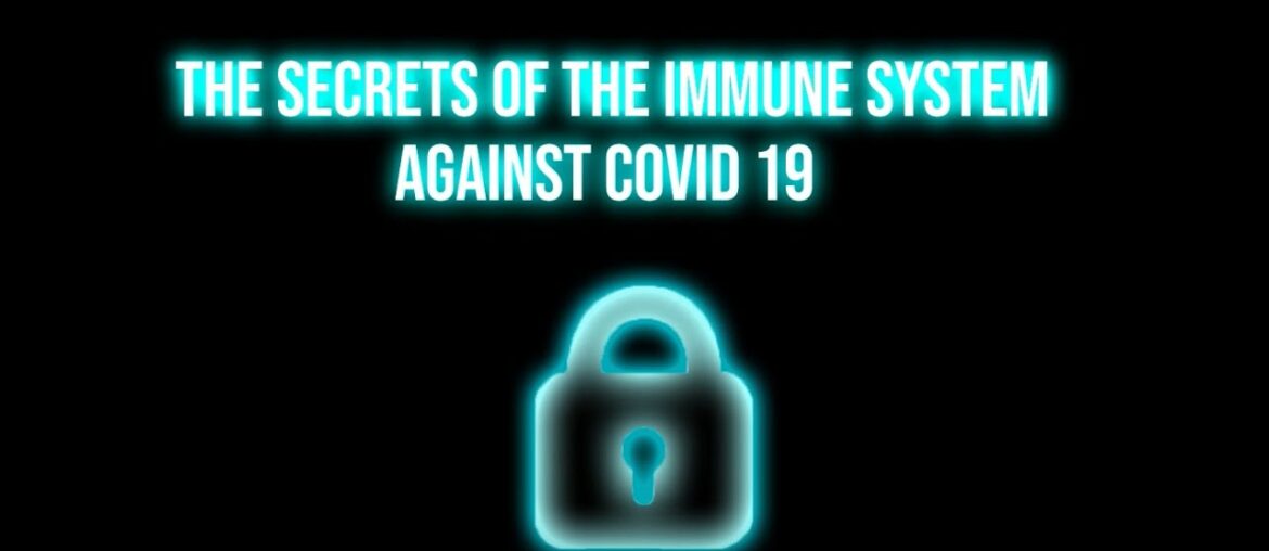 How the immune system reacts to Covid 19 || Breakthrough junior challenge