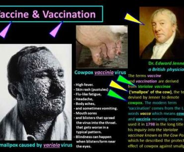 Corona-virus Part 8  Immunisation  Acquired Immunity  Herd Immunity