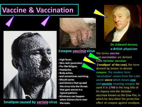 Corona-virus Part 8  Immunisation  Acquired Immunity  Herd Immunity