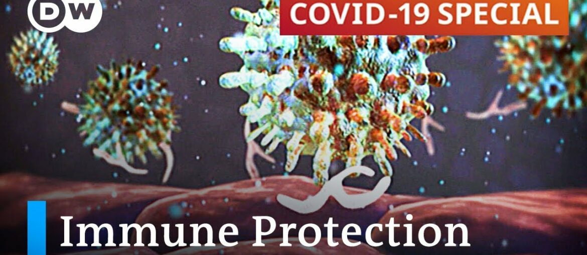 How important is the immune system in protecting against Covid-19? | COVID-19 Special