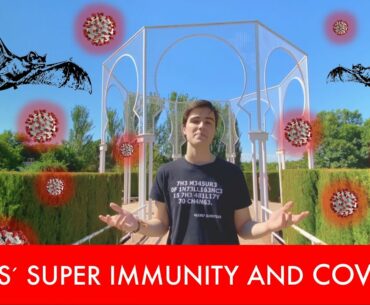 Bats Super Immunity: A partial answer for COVID 19? Breakthrough Junior Challenge 2020