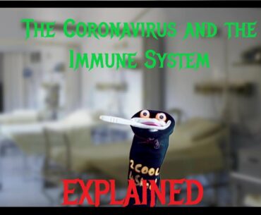 The Coronavirus and the Immune System - Explained | Breakthrough Junior Challenge 2020